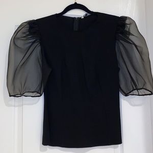 Zara Organza Sleeve Top